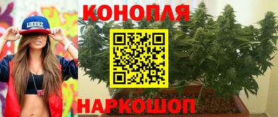 гидра Свободный